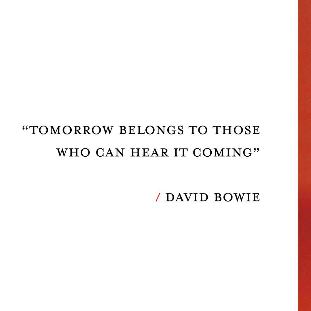 Bowie forever ⚡
